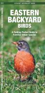 Eastern Backyard Birds: An Introduction to Familiar Urban Species di James Kavanagh edito da Waterford Press