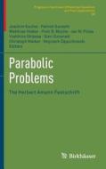 Parabolic Problems edito da Springer Basel AG