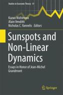 Sunspots and Non-Linear Dynamics edito da Springer-Verlag GmbH