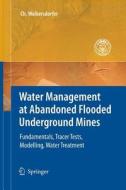 Water Management at Abandoned Flooded Underground Mines di Christian Wolkersdorfer edito da Springer Berlin Heidelberg