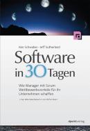Software in 30 Tagen di Ken Schwaber, Jeff Sutherland edito da Dpunkt.Verlag GmbH