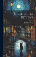 Three Little Kittens di R M Ballantyne edito da LEGARE STREET PR