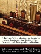 A Provider\'s Introduction To Substance Abuse Treatment For Lesbian, Gay, Bisexual, And Transgender Individuals edito da Bibliogov