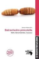 Batrachedra Pinicolella edito da Brev Publishing