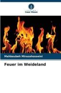 Feuer im Weideland di Mahboubeh Mirazahosseini edito da Verlag Unser Wissen