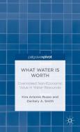What Water Is Worth: Overlooked Non-Economic Value in Water Resources di Kira Artemis Russo, Zachary A. Smith edito da Palgrave Macmillan