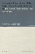 The Names of the Things That Were There: Stories di Antonio Skármeta edito da OTHER PR LLC