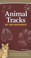 Animal Tracks of the Northeast: Your Way to Easily Identify Animal Tracks di Jonathan Poppele edito da ADVENTUREKEEN