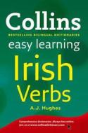 Collins Easy Learning Irish di A. J. Hughes edito da Harpercollins Publishers