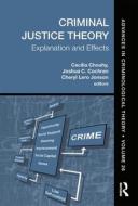 Criminal Justice Theory, Volume 26 edito da Taylor & Francis Ltd