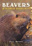Beavers & Other Rodents: A Portrait of the Animal World di Paul Sterry edito da Todtri Productions