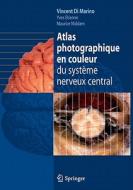 Atlas Photographique En Couleur Du Systeme Nerveux Central di 9782287990786 edito da Springer