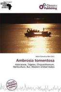 Ambrosia Tomentosa edito da Chromo Publishing