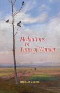 Meditations in Times of Wonder di Michael Martin edito da Angelico Press