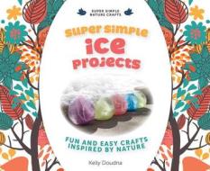 Super Simple Ice Projects: Fun and Easy Crafts Inspired by Nature di Kelly Doudna edito da ABDO PUB CO