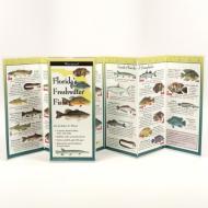 The Ultimate Guide to Florida's Freshwater Fishes edito da Steven M. Lewers & Associates