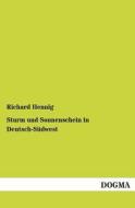 Sturm und Sonnenschein in Deutsch-Südwest di Richard Hennig edito da DOGMA