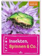 Insekten, Spinnen & Co. di Anke Küpper edito da moses. Verlag GmbH