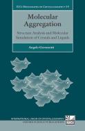 Molecular Aggregation: Structure Analysis and Molecular Simulation of Crystals and Liquids Iucr Monographs on Crystallog di Angelo Gavezzotti edito da PRACTITIONER LAW