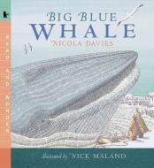 Big Blue Whale di Nicola Davies edito da CANDLEWICK BOOKS