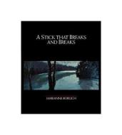 A Stick That Breaks And Breaks di Marianne Boruch edito da Oberlin College Press