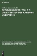 Die Eiszeiten Des Karbons Und Perms: Aus: Epeirophorese, Teil 3 B di Wilhelm Salomon-Calvi edito da Walter de Gruyter