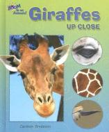 Giraffes Up Close di Carmen Bredeson edito da Enslow Elementary