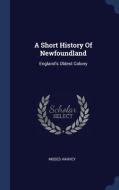 A Short History Of Newfoundland: England's Oldest Colony di Moses Harvey edito da Sagwan Press