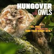 Hungover Owls 2012 Wall Calendar di J. Patrick Brown edito da Abrams