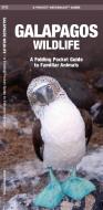 Galapagos Wildlife: An Introduction to Familiar Species di James Kavanagh, Waterford Press edito da Waterford Press