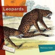 Leopards di Melissa Gish edito da CREATIVE ED & PAPERBACKS