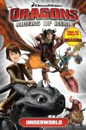 Dreamworks' Dragons di Titan Comics edito da Titan Books Ltd