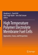 High Temperature Polymer Electrolyte Membrane Fuel Cells edito da Springer-Verlag GmbH