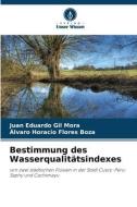 Bestimmung des Wasserqualitätsindexes di Juan Eduardo Gil Mora, Álvaro Horacio Flores Boza edito da Verlag Unser Wissen