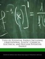 Types of Potential Energy Including Gravitational, Elastic, Chemical, Electrical, and Nuclear Potential Energy di Patrick Sing edito da WEBSTER S DIGITAL SERV S