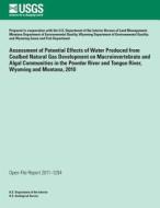 Assessment of Potential Effects of Water Produced from Coalbed Natural Gas Development on Macroinvertebrate and Algal Communities in the Powder River di U. S. Department of the Interior edito da Createspace