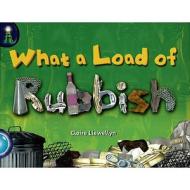 Lighthouse Year 2 Turquoise: What A Load Of Rubbish di Claire Llewellyn edito da Pearson Education Limited