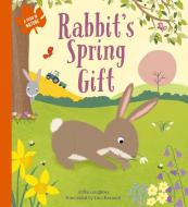 Rabbit's Spring Gift di Anita Loughrey edito da QEB PUB