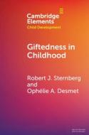 Giftedness in Childhood di Robert J. Sternberg, Ophélie A. Desmet edito da CAMBRIDGE