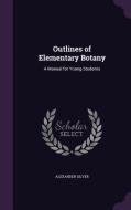 Outlines Of Elementary Botany di Alexander Silver edito da Palala Press