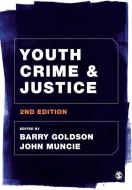 Youth Crime and Justice di Barry Goldson, John Muncie edito da SAGE Publications Ltd