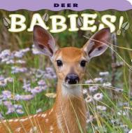 Deer Babies! edito da Farcountry Press