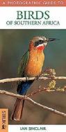 Photographic Guide Birds Of Southern Africa di Ian Sinclaire edito da Struik Publishers (pty) Ltd
