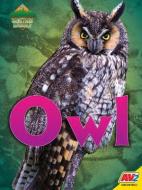 Owl di Nick Winnick edito da AV2 BY WEIGL