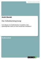 Das Subsidiaritätsprinzip di André Mandel edito da GRIN Publishing