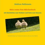 Geschichten zum Vorlesen di Heidrun Peithmann edito da Books on Demand