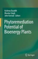 Phytoremediation Potential of Bioenergy Plants edito da Springer-Verlag GmbH