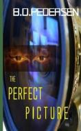 The Perfect Picture di B. D. Pedersen edito da Brian D.\Pedersen