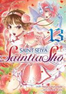 Saint Seiya: Saintia Sho Vol. 13 di Masami Kurumada edito da SEVEN SEAS PR