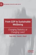 From GDP to Sustainable Wellbeing di Paul Allin, David J. Hand edito da Springer International Publishing